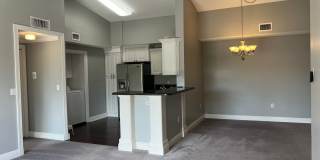 Georgeous College Town 2/2 split floorplan Gallery 15