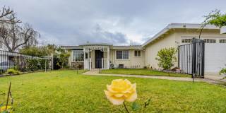 617 Helensburg Street Gallery 24