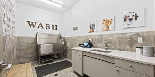 River House Gallery 17