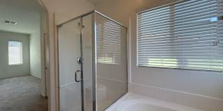 757 Calamus Palm Place Gallery 6