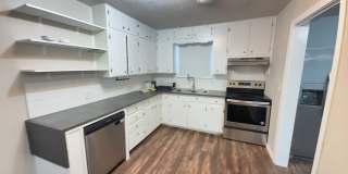Updated 3-bedroom house with HUGE YARD!! Gallery 7