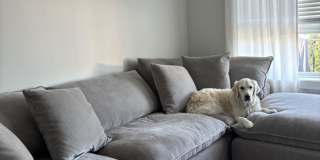 555 Roger Williams Gallery 1