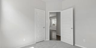 2434 Dry Moss Gallery 10