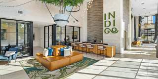 Indigo Palmetto Bay Gallery 3