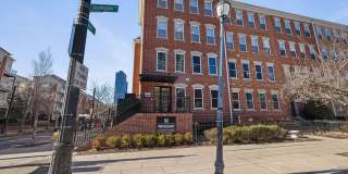 Windsor at Liberty House Gallery 7