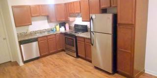 Springtree Gallery 2