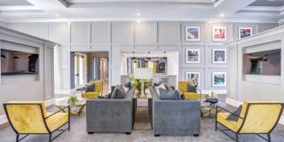 The Napier Gallery 12