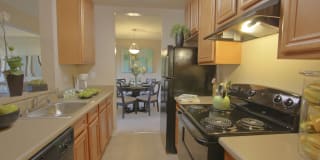 Park Kiely Gallery 16