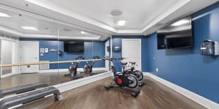 Sofi Lyndhurst Gallery 17