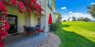 207 Desert Falls Circle Gallery 4