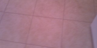 1636 Boulder Creek Ct Gallery 30