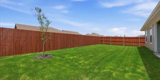 722 Orchid Way Gallery 28