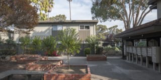 Monterey Townhouse Gallery 58