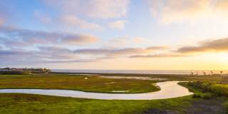 2465 Caminito Ocean Cove Gallery 28