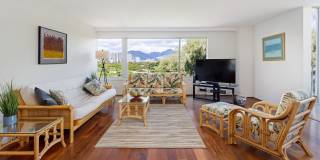 THE BEST OF BOTH WORLDS! Gallery 6