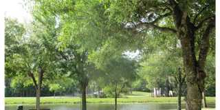 619 Front Street, Unit 3104, Celebration, FL 34747 Gallery 4