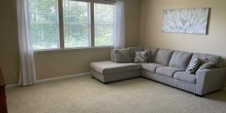 2543 WILLOW CREEK Drive Gallery 39