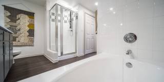 Muse at SoCo Gallery 15