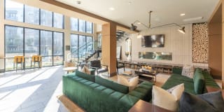 Olivian at the Realm Apartments Gallery 43