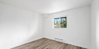 Finn Gallery 14