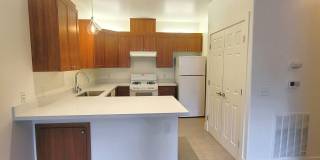 Polo Villas Gallery 2