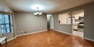 1107 Woodhaven Drive Gallery 4