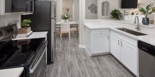 Eddison at Deerwood Park Gallery 1