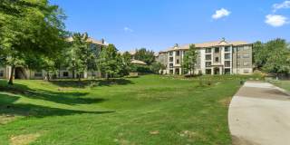 The Lyndon Gallery 27