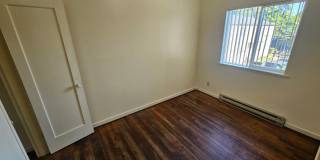 315e19 Gallery 12