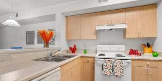 Bella Vista Apartments Gallery 53