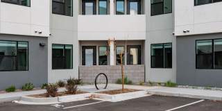 Allaso Olivine Gallery 16