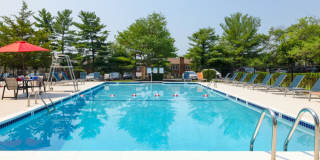 Ravensworth Gallery 1