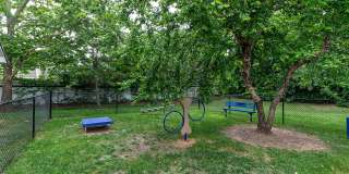 Dana Downs Gallery 18