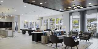 The Dahlia Gallery 13