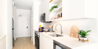 The Devan Gallery 13