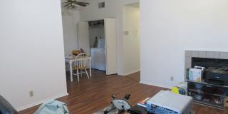 WINDTREE 306 Gallery 22
