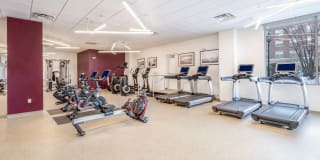 Cronin's Landing Gallery 41