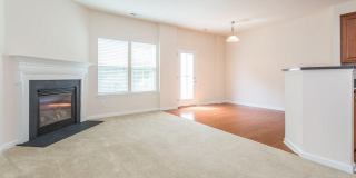 473 Panorama View Loop Gallery 8