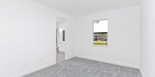6979 Pines Circle Gallery 27