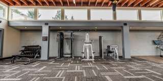 The Lucent Gallery 18