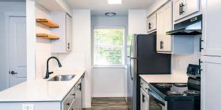 Courtside Gallery 16