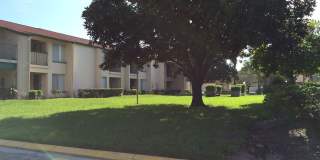 Maitland Oaks Gallery 1