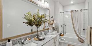 Virtuo Spring Gallery 17