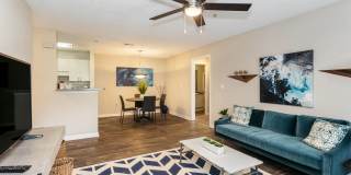 Aqua at Sandy Springs Gallery 10