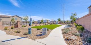 5215 Lissome Lily Court Gallery 3