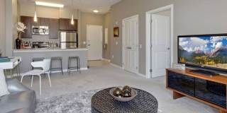 The Fitzgerald Gallery 9