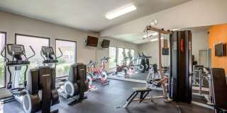 Talise Apartments Gallery 4