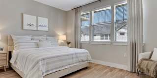 Town Arlington Gallery 16