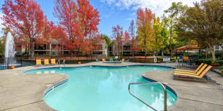 Harbor Oaks Apartment Homes Gallery 4