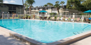 Imperial Palms Gallery 8